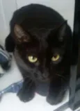 Nina