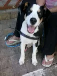 ZORBA