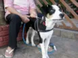 ZORBA