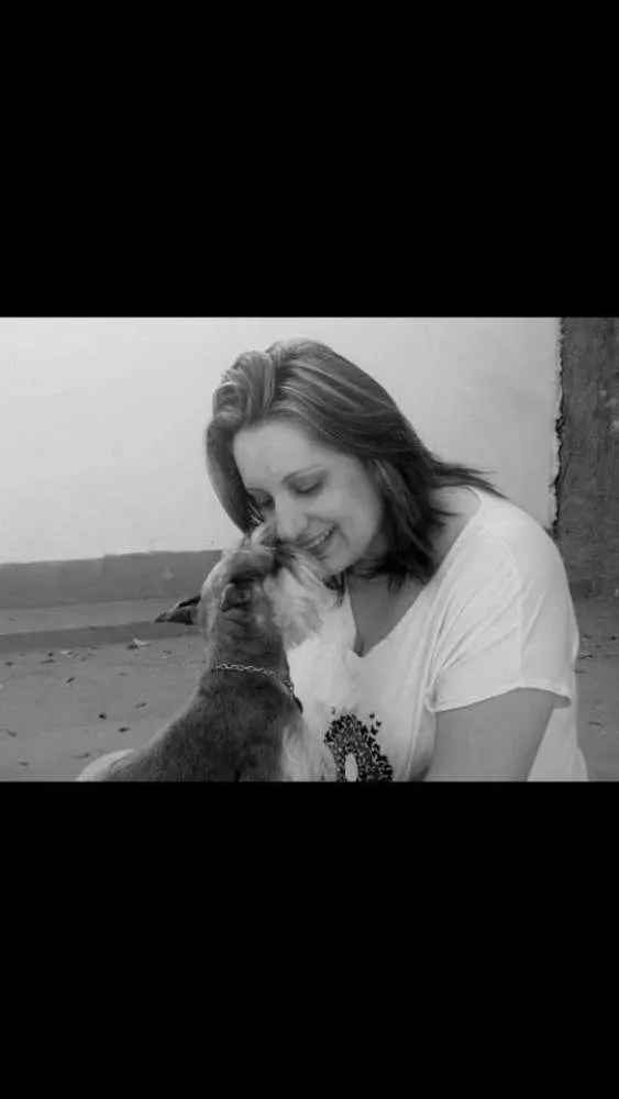 Cachorro ra a Shnauzer idade 6 ou mais anos nome Tess GRATIFICA