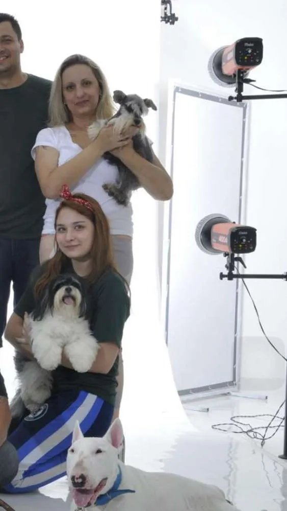 Cachorro ra a Shnauzer idade 6 ou mais anos nome Tess GRATIFICA