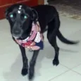 Lola