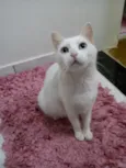 Mimi