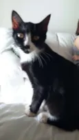 Nina