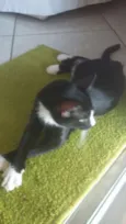 Nina