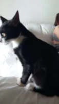 Nina