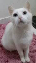 Mimi