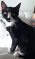 Nina