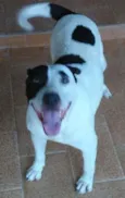 kiara