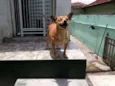 CACO