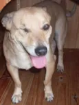 CACO