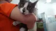 Nina e Kika