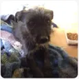 PELUDINHO