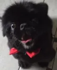Akon