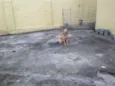 Frida