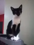 Menina