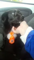 Léo