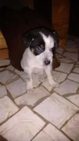 Herói