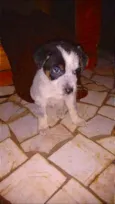 Herói