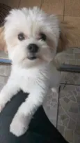 Olga