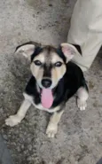 Frank