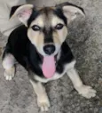 Frank