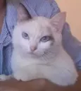 Nina