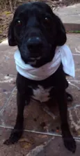 Beethoven