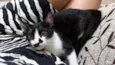 Tom