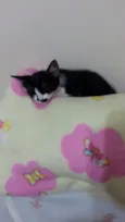 Tom