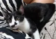 Tom
