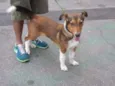 Paçoca