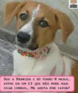 Princesa