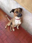 Nicky
