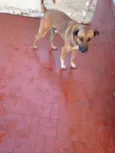 Nicky