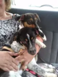 babi/tiquita