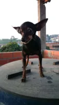 Banguela