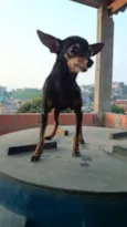 Banguela