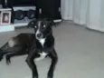 Sophie