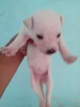 .....