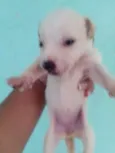 .....