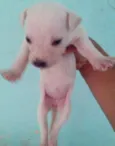 .....
