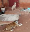 Não sei