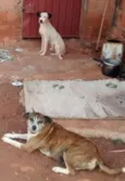Não sei