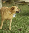 JOHNY - Um cara fofo!