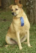 JOHNY - Um cara fofo!