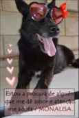 MONALISA, nossa MONA!