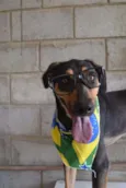REX, menino mais li