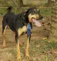 REX, menino mais li