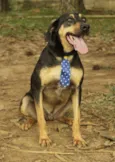 REX, menino mais li